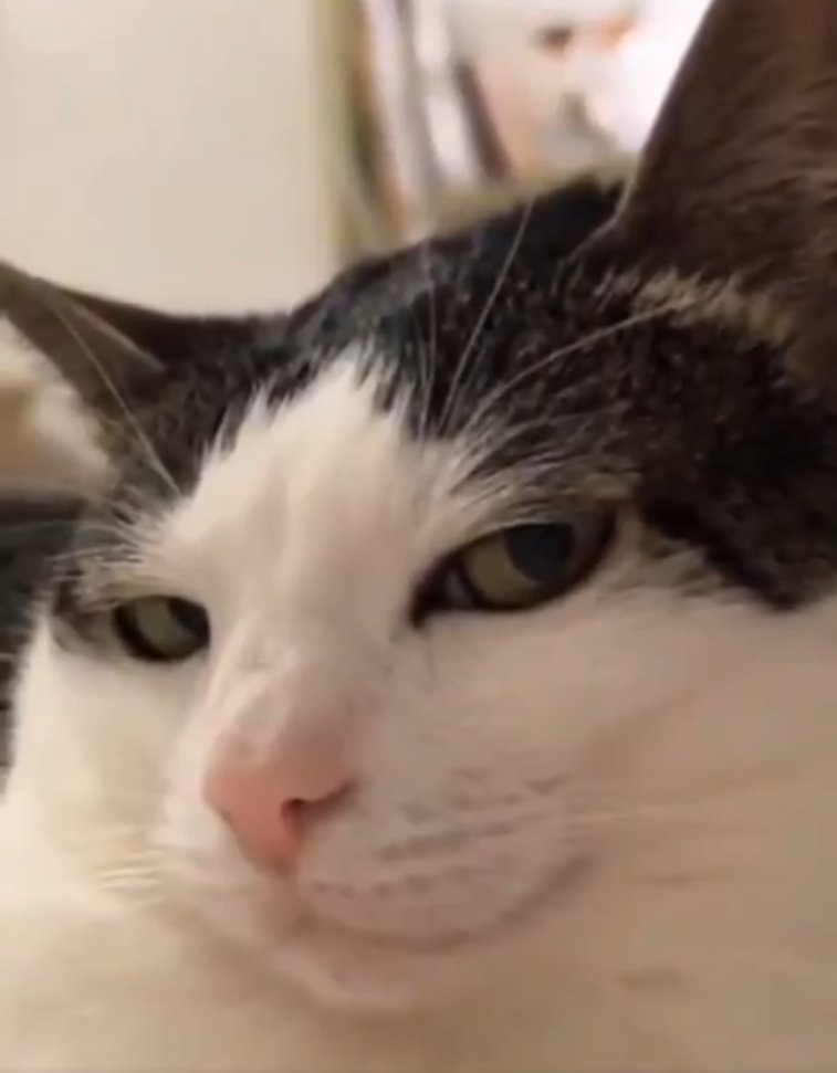 My face when I like my mutuals posts without even reading them