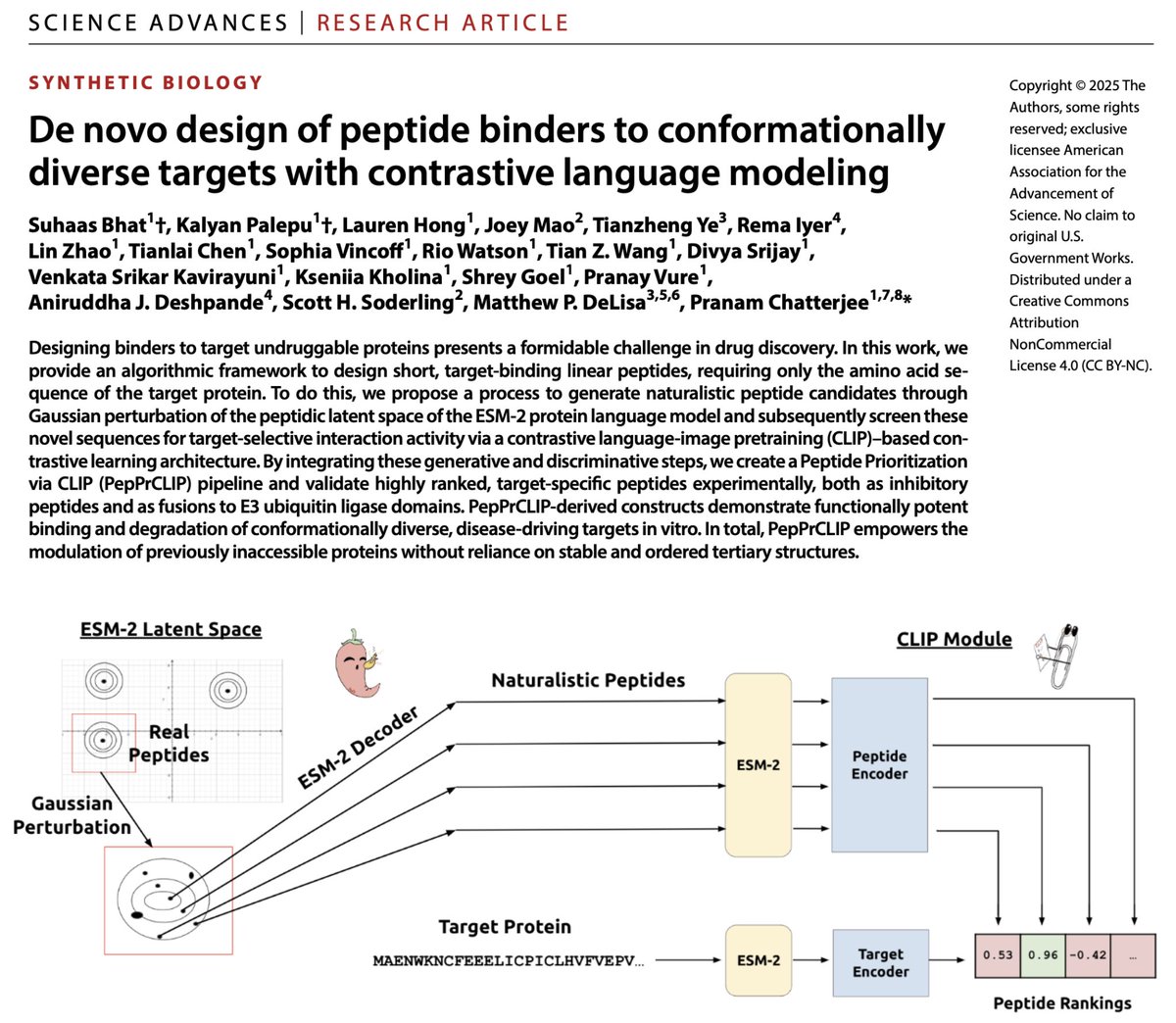 Pranam Chatterjee (@pranamanam) on Twitter photo I'm usually not too emotional about paper acceptances, but this one justifies it. 🥹 It doesn't feel real, but PepPrCLIP is now published at <a href="/ScienceAdvances/">Science Advances</a>! Let me tell you its story. 📕
📜: science.org/doi/10.1126/sc…
💻: huggingface.co/ubiquitx/peppr…
PepPrCLIP (🌶️📎) began as I'm usually not too emotional about paper acceptances, but this one justifies it. 🥹 It doesn't feel real, but PepPrCLIP is now published at <a href="/ScienceAdvances/">Science Advances</a>! Let me tell you its story. 📕
📜: science.org/doi/10.1126/sc…
💻: huggingface.co/ubiquitx/peppr…
PepPrCLIP (🌶️📎) began as