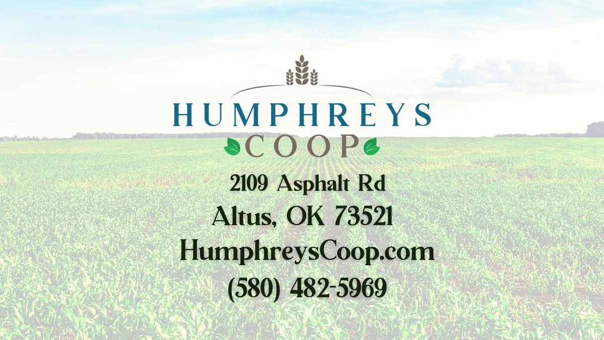 🍃🍃

Our direction today and in the future is to provide quality products and services with profitability for both you and your Co-Op!

Give us a call today to learn more about how we can help your operation! 

#Humphreys #Oklahoma #Coop #Cooperative