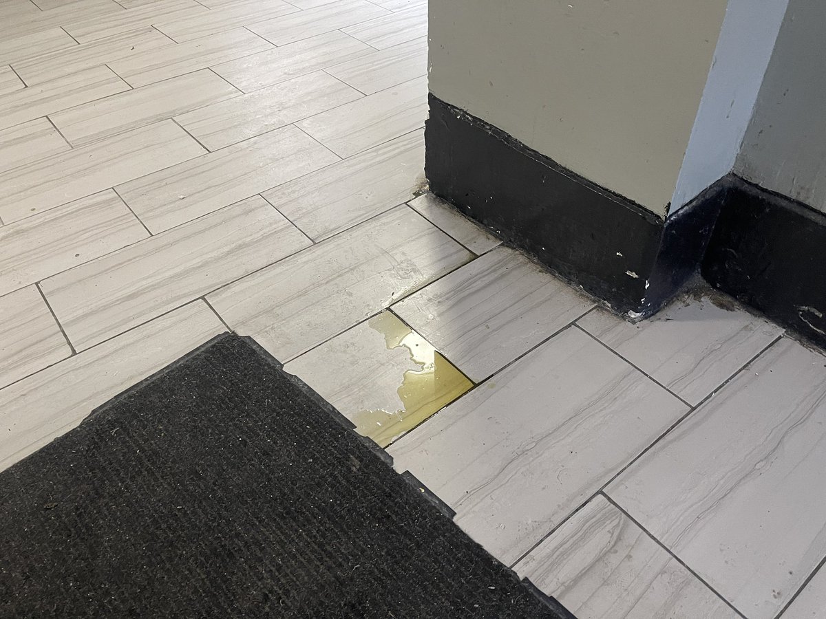 inside a building owned by “NYC’s worst landlord” 

Barry Singer topped the <a href="/nycpa/">Office of the Public Advocate Jumaane D. Williams</a> worst landlord watch list with nearly 2,000 housing code violations. <a href="/News12BX/">News12BX</a>