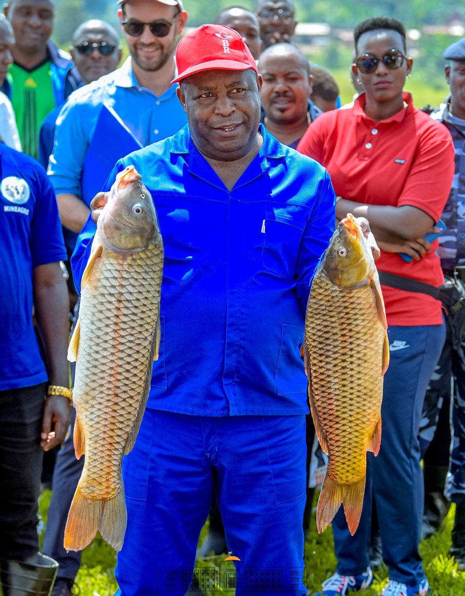 Sur la colline Canzikiro en commune Bugenyuzi, S.E. <a href="/GeneralNeva/">SE Evariste Ndayishimiye</a> et son invitée Mme l'Ambassadeur de #USA au #Burundi en visite des initiatives du Chef de l'Etat ont visité le site piscicole appartenant à ce dernier. On y trouve le  Tilapia, la Carpe commune et le Clarias.