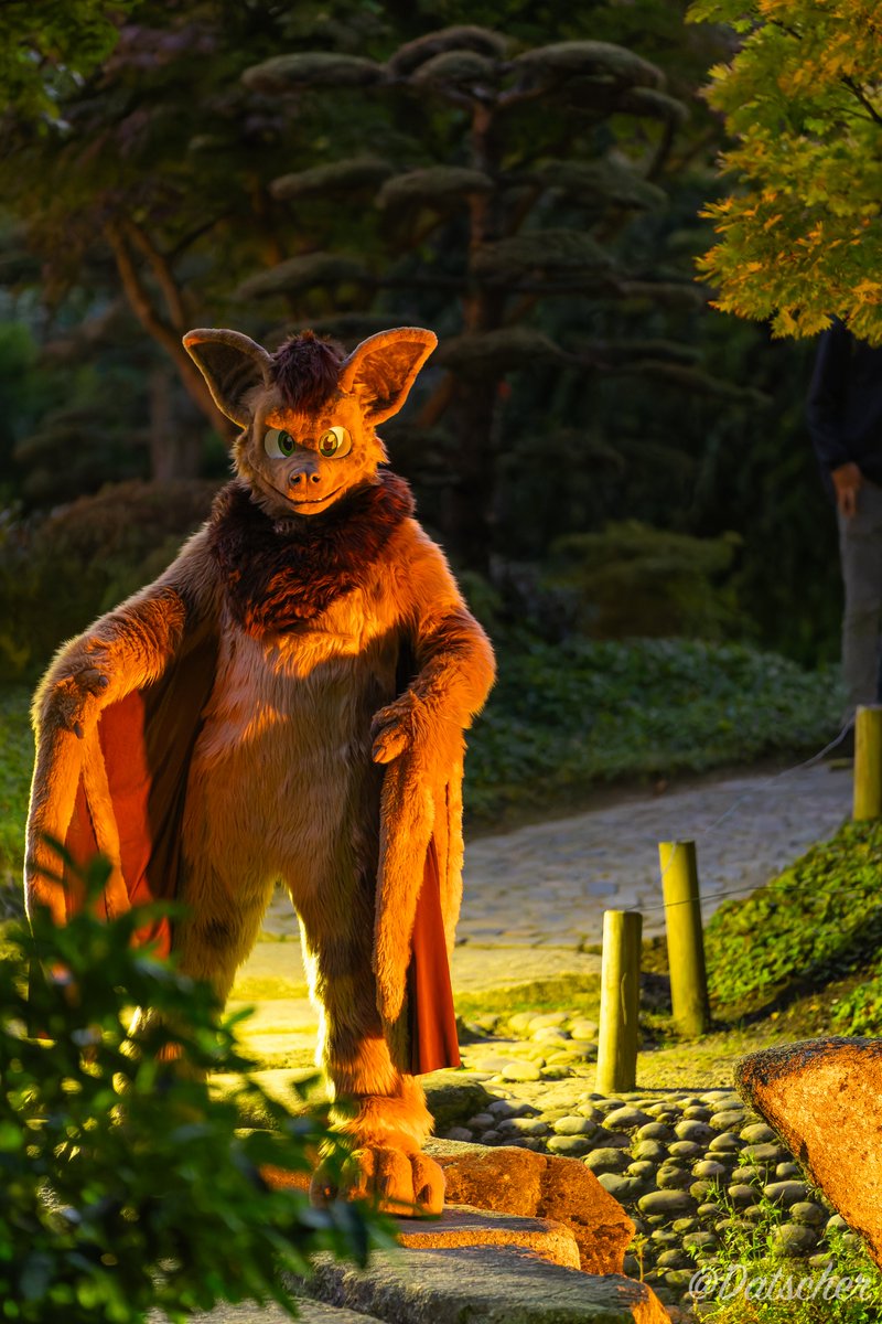 Datscher02's tweet image. Seems like @moemneop is guarding this path... There must be something valuable at the end ;)
📷 by me (@Datscher02 ) on a shoot with @PinselLuchs
#eurofurence #fursuit #furry