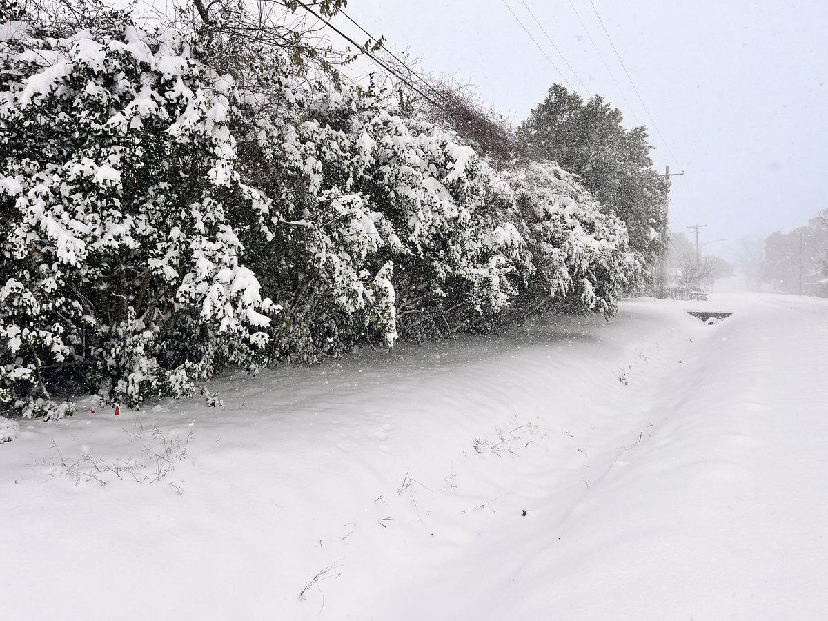 Sneaux in South Louisiana!