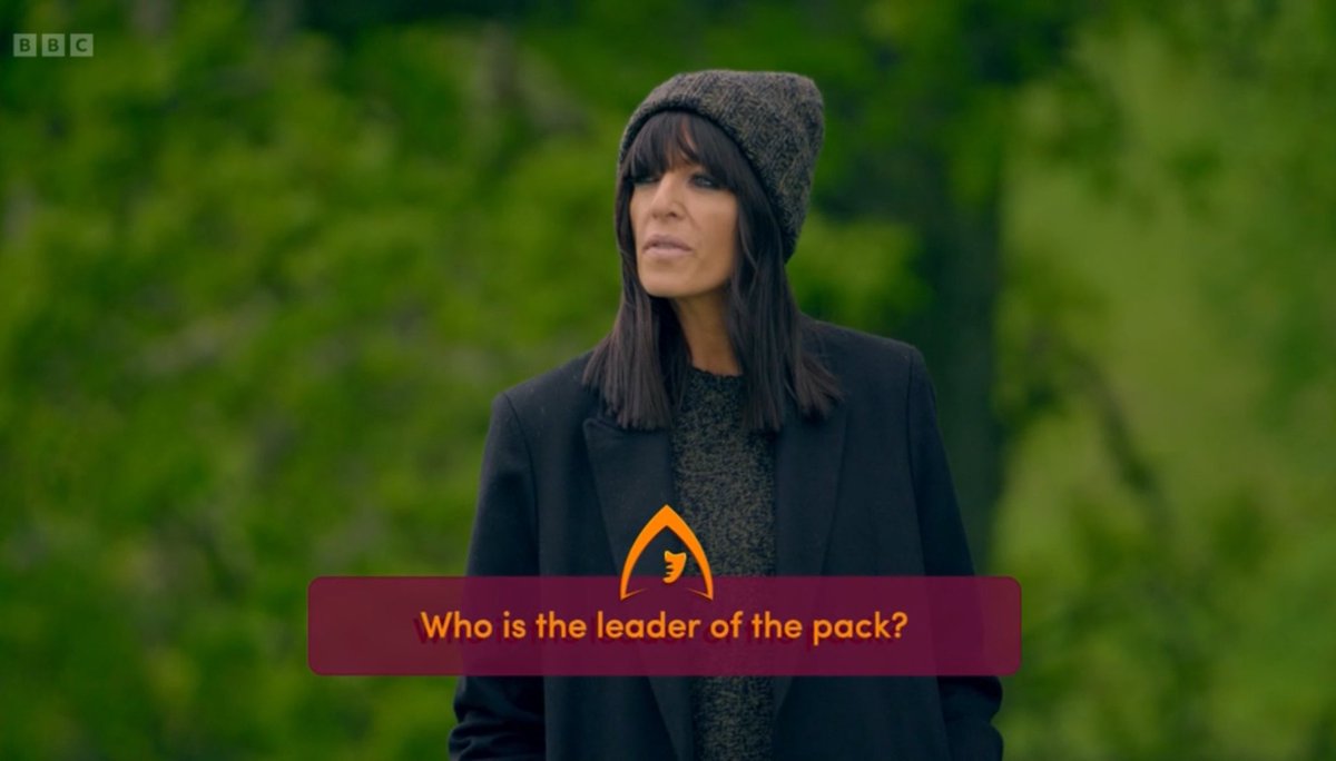 Me stirring shit after a couple of drinks #TheTraitors