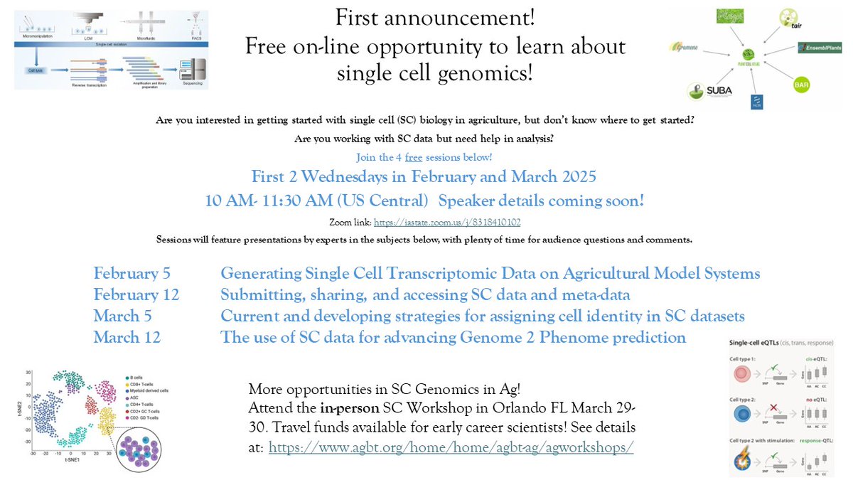 🌱 Free Online Sessions on Single Cell Genomics in Agriculture!

- First 2 Wednesdays in Feb &amp; March 2025
- 10–11:30 AM (US Central)
- Expert talks + Q&amp;A

Zoom link: iastate.zoom.us/j/8318410102

#SingleCellGenomics #FreeWebinar #Agriculture
