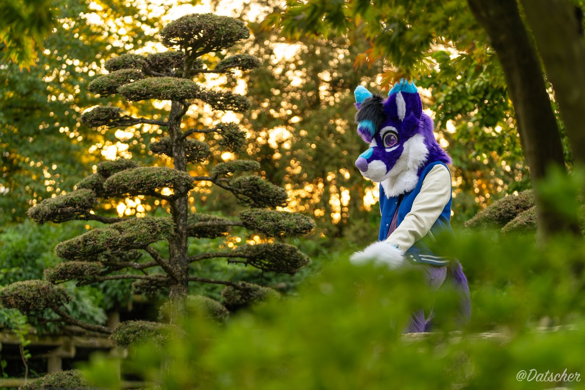 Datscher02's tweet image. Hope you all had a good weekend!
Spying on this new week, like I'm spying on @sandoraptor here
📷by me (@Datscher02 ) on a shoot with @PinselLuchs
#eurofurence #furry #fursuit