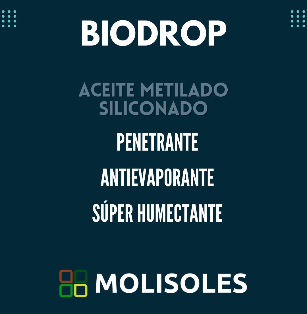 molisoles's tweet photo. 🕷️ ⚠️ Ante la presencia de #Arañuela Roja, estas son nuestras recomendaciones para un #control efectivo

✅ Realizá aplicaciones estratégicas y potenciá el tratamiento con #Biodrop, un aceite metilado siliconado diseñado para asegurar el mojado del cultivo y el cuidado de la gota https://t.co/9Ce1YMd8hm