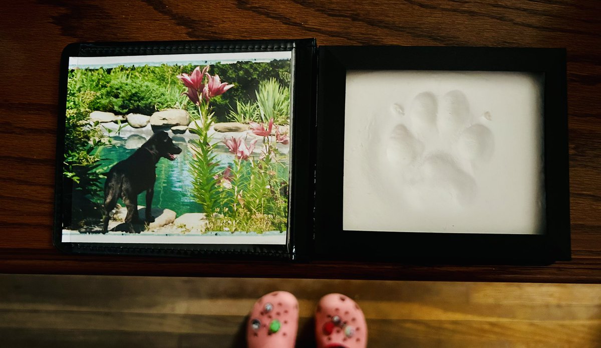 cbiz's tweet photo. Been a little over a month since my #dog Liam passed away.
Stop by and read our follow-up #blog @AnimalLeague #sundayblogshare
https://t.co/VG8toYxqn5 https://t.co/5HtLcMFMDf