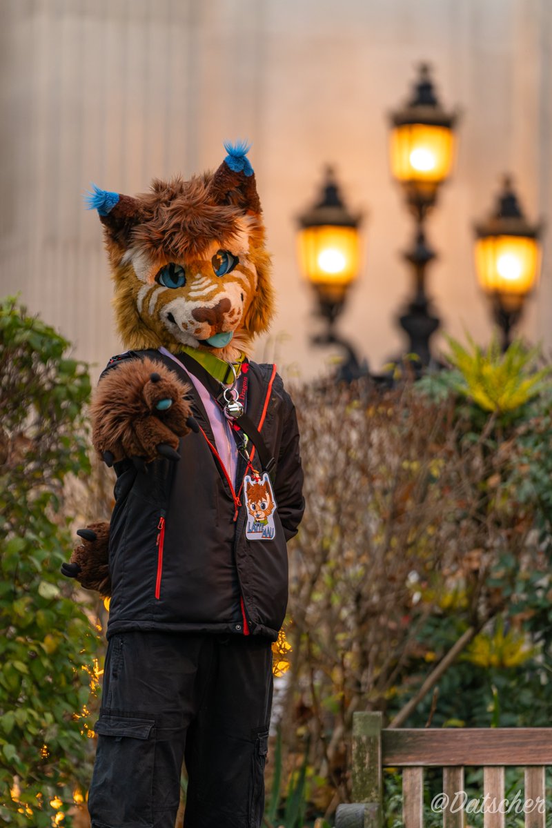 Datscher02's tweet image. "Hey you, yeah you, have a good week!" I think @LatteMau could be saying here
📷by me (@Datscher02 ) with 💡help by @AvaliKali
#londonfurs #furry #fursuit