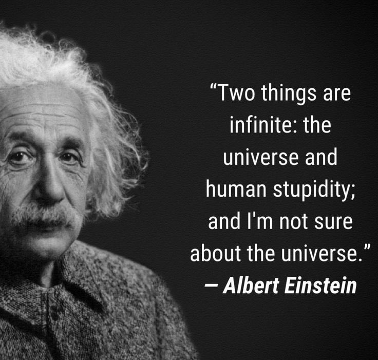 Ben Volach 💎 tweet media