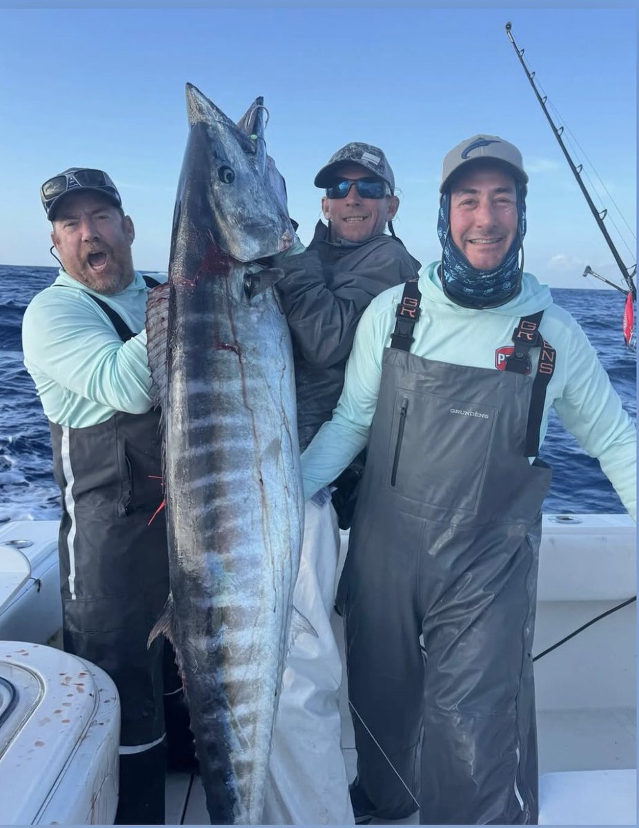 BahamasSportFishing tweet media