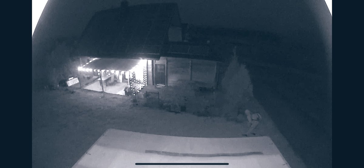 Patrick Leppack tweet media