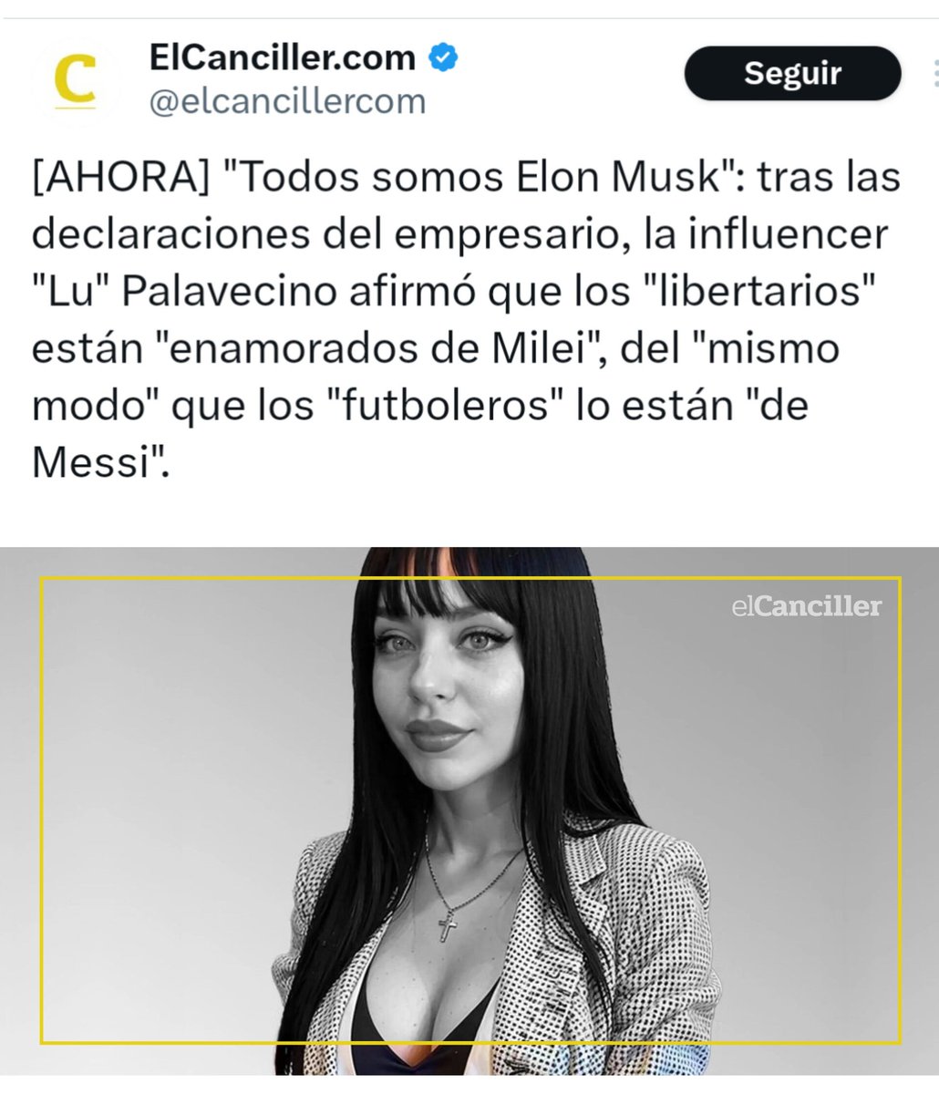 PalaveccinoLu's tweet photo. Confirmen si todos amamos a #Milei y a #ElonMusk 🐍 Y si son los zurdos los que banalizan el holocausto. https://t.co/xdFnLGWXNe