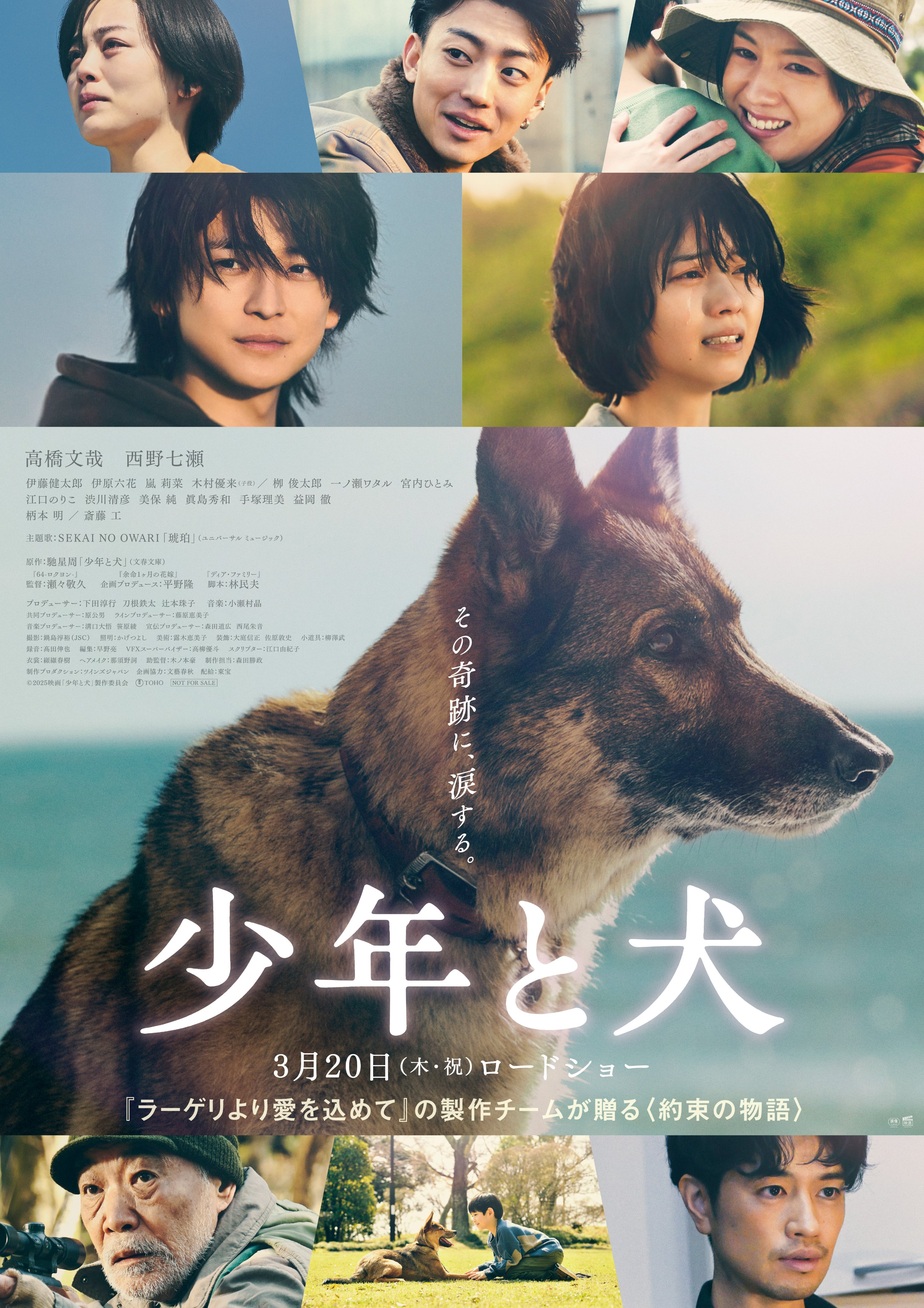 東宝映画情報【公式】 on X: 