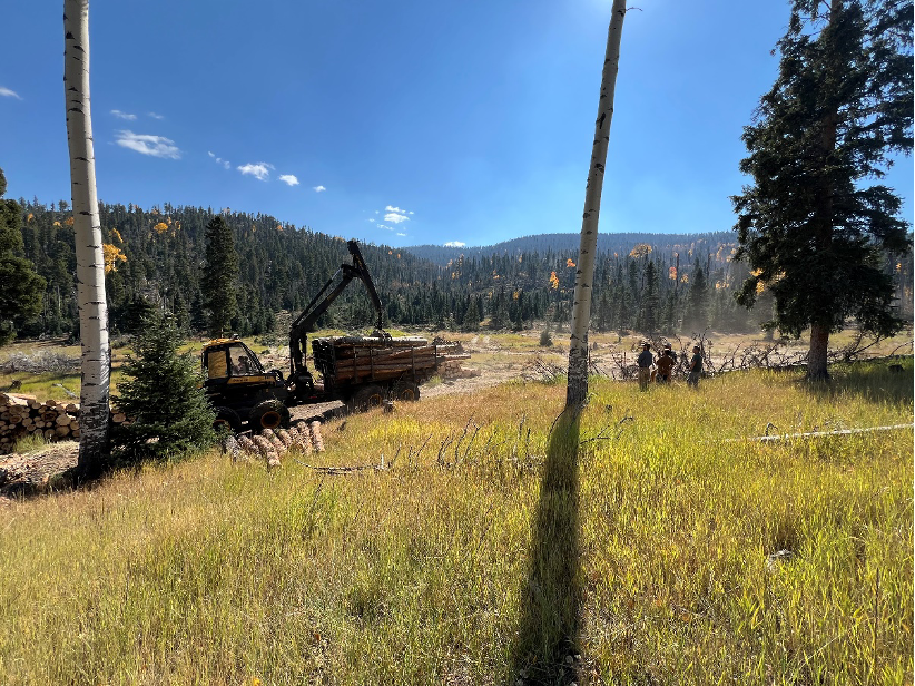 CWSF (@westernforester) on Twitter photo Check out our January newsletter! Learn how <a href="/NMForestry/">New Mexico Forestry Division</a> is working with partners to leverage CWDG funding to maintain fuel breaks & treat over 5,000 acres of private lands. Discover this story, policy updates, & more in our newsletter! 📸: Abigail Plecki conta.cc/4hoa5Sw Check out our January newsletter! Learn how <a href="/NMForestry/">New Mexico Forestry Division</a> is working with partners to leverage CWDG funding to maintain fuel breaks & treat over 5,000 acres of private lands. Discover this story, policy updates, & more in our newsletter! 📸: Abigail Plecki conta.cc/4hoa5Sw