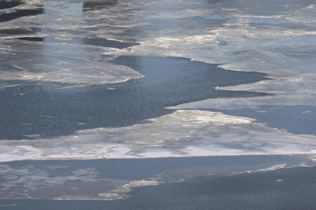 wtz's tweet photo. Winter view of the New York City skyline & ice on Hudson River.
#ice
#winterstorm
#hudsonriver
#nyc #nycview #newyork #newyorkcity #newyorkview #manhattan
#BillionairesRow
#manhattanview
#hoboken #newjersey
#iloveny
#bigapple #skyline
#online_newyork
#upperwestside https://t.co/jN1cYUeQzk