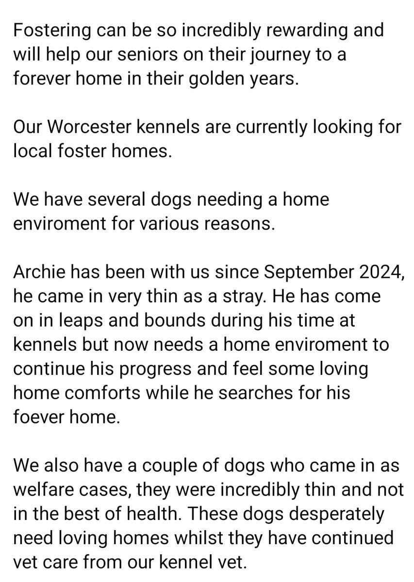 Senior Staffy Club Dog Rescue tweet media