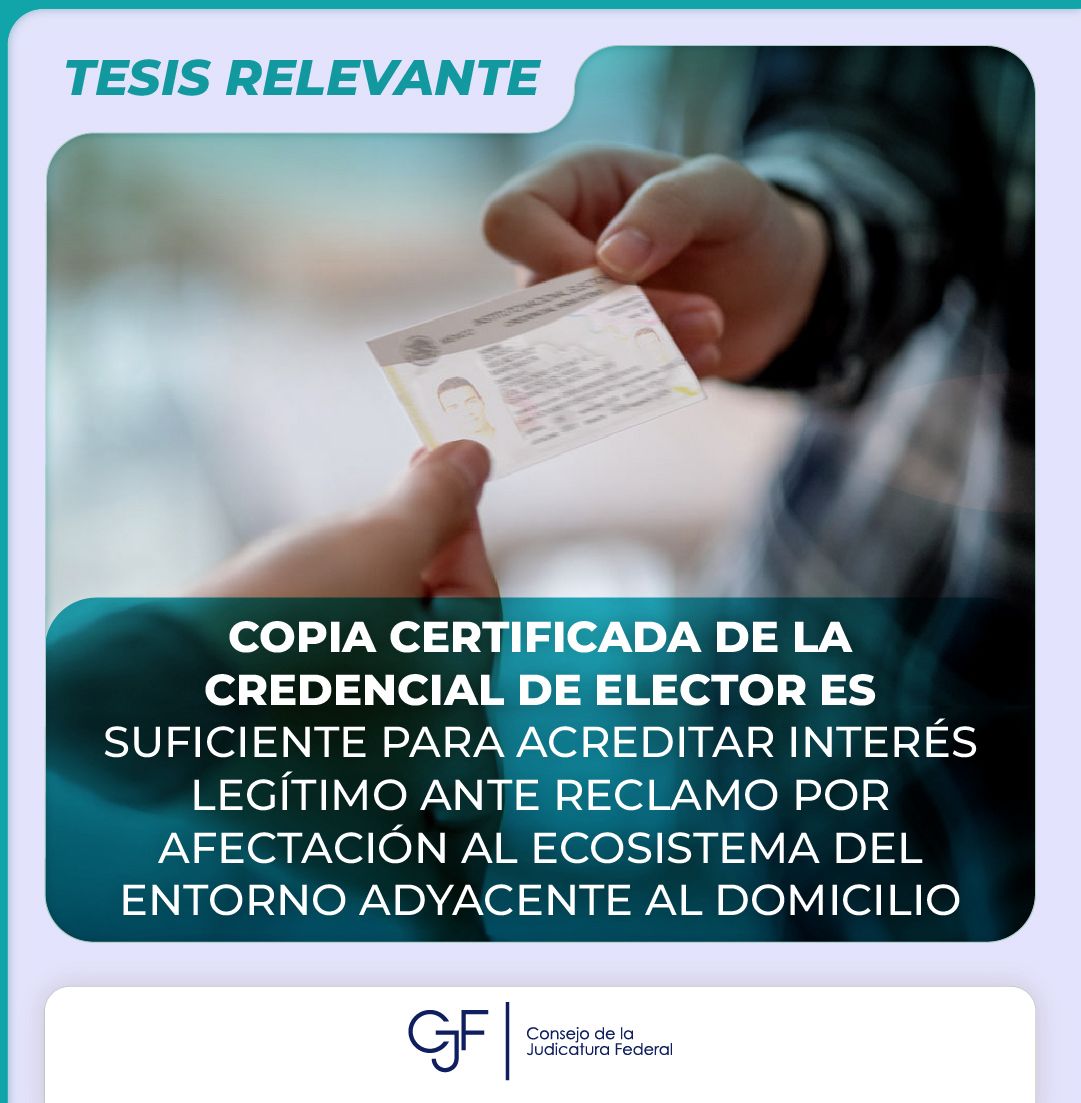 OAJ_Mex's tweet photo. #TesisRelevante | Un Tribunal Colegiado determinó que una copia certificada de la credencial de elector es suficiente para acreditar un interés legítimo en amparo indirecto para defender el #Derecho a un medio ambiente sano 🌲. 

🔗 https://t.co/IPNJRzuV4K https://t.co/q1liy8Sdrw