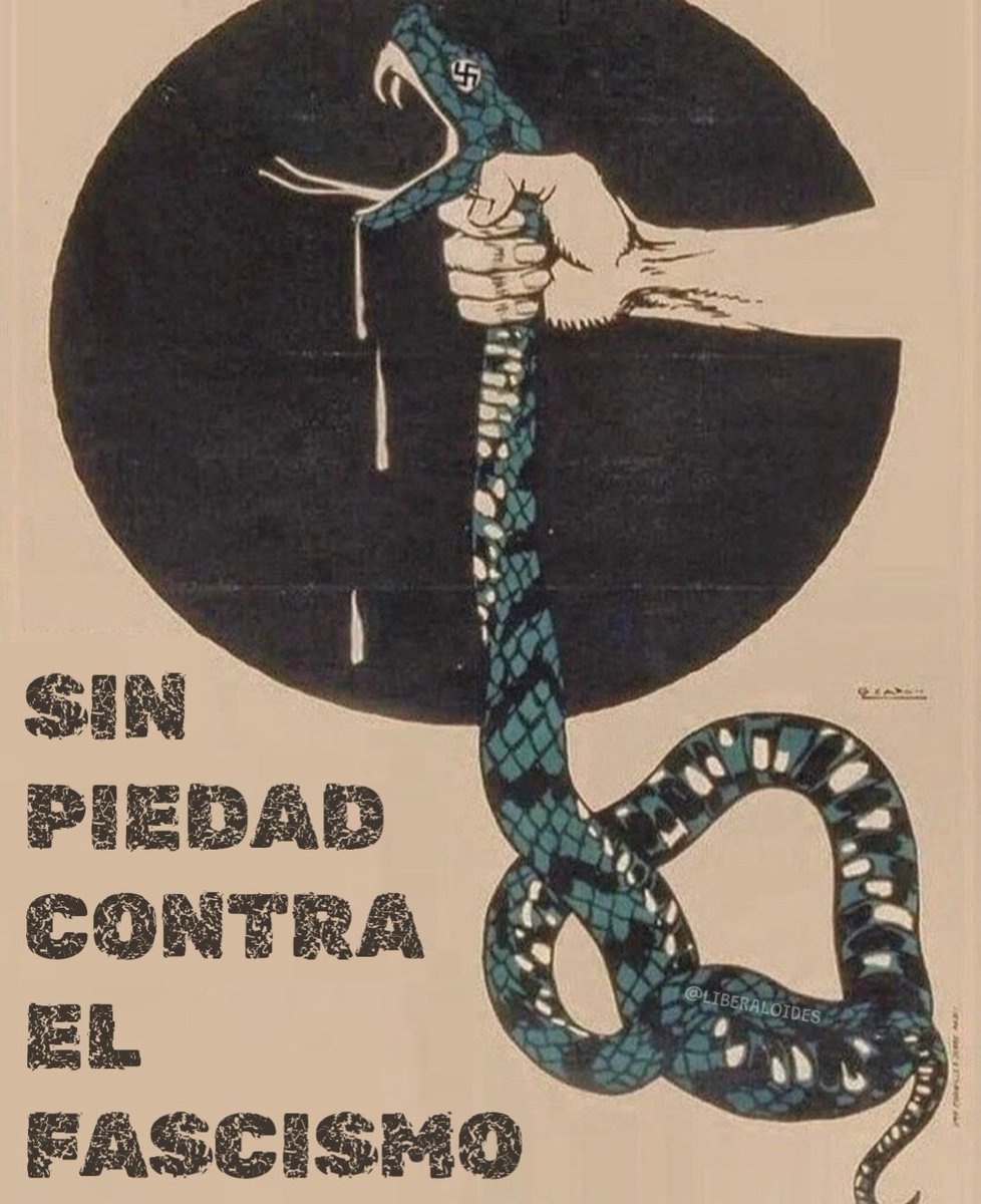 f.x roman fernandez (@fxromanfer) on Twitter photo 