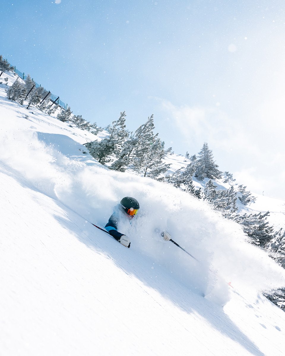 Get lost in the pow!
