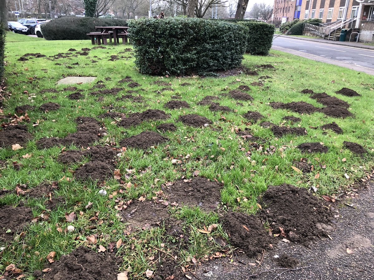 Simon Jude tweet media