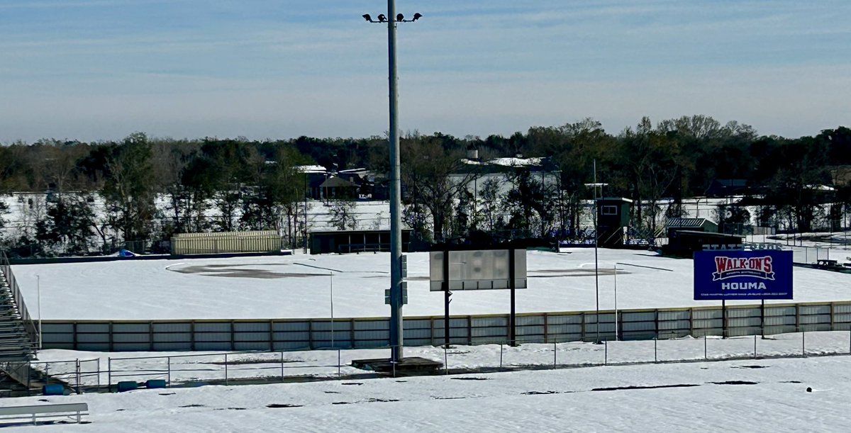 STHS_BASE's tweet image. ❄️Winter Gatorland❄️