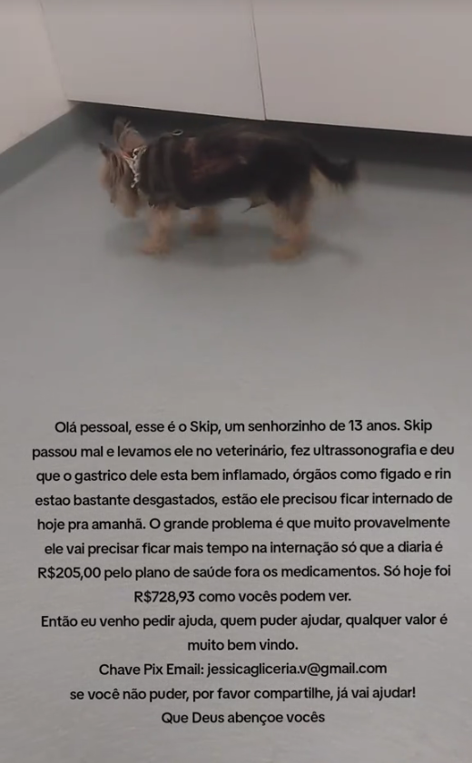 Eae gente, eu preciso da atenção de vocês por favor!
Tem acontecido alguns problemas com o cachorrinho de uma amiga minha, como podem ver ai no texto da imagem, ele está com gástrico inflamado e com alguns órgãos bem danificados, infelizmente ela não tem condições de pagar pela+