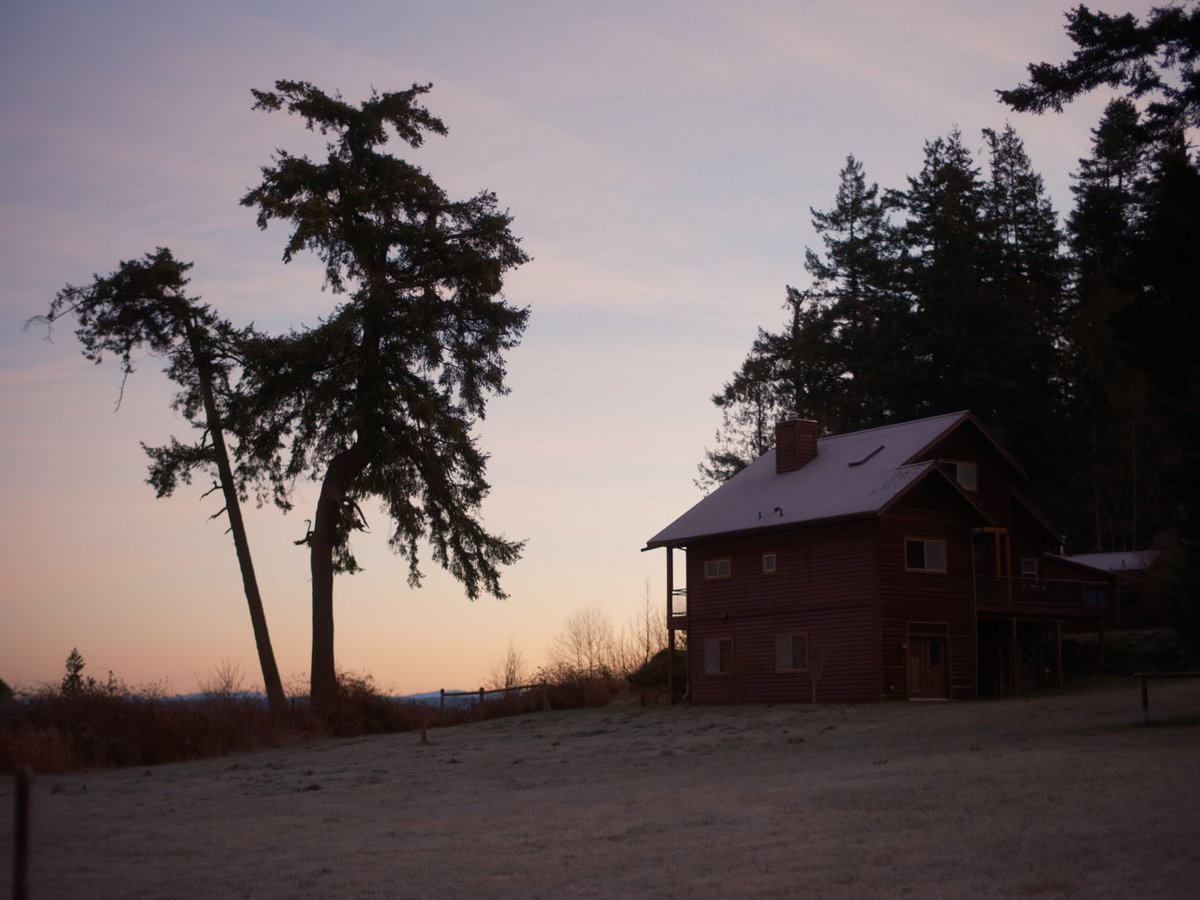 Dad wilder (@dadwilder1) on Twitter photo 