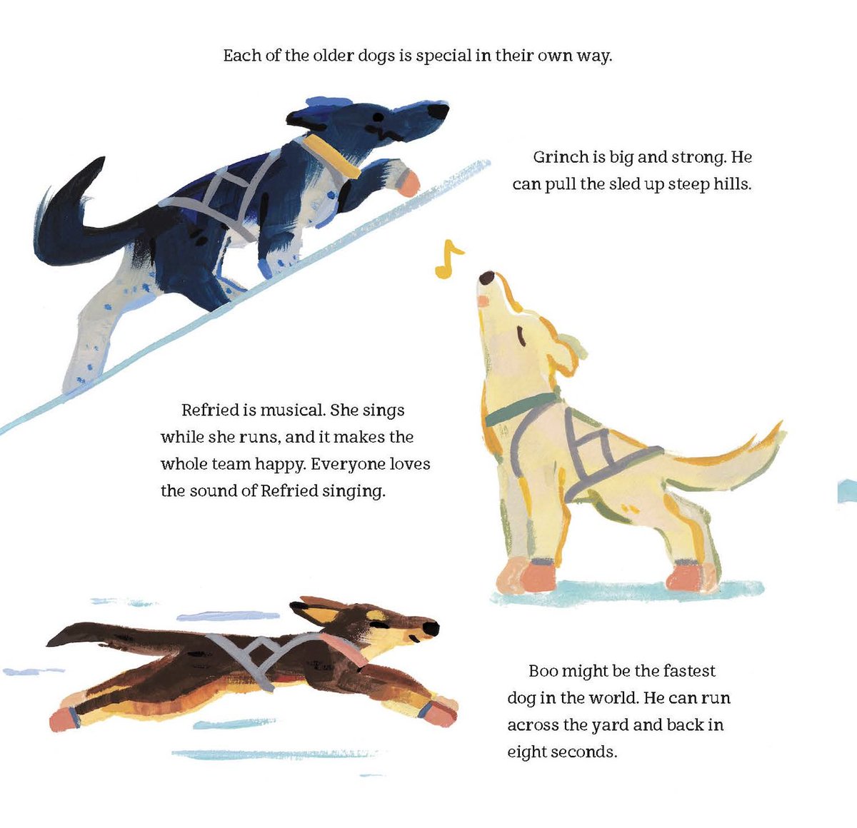 Blair Braverman tweet media