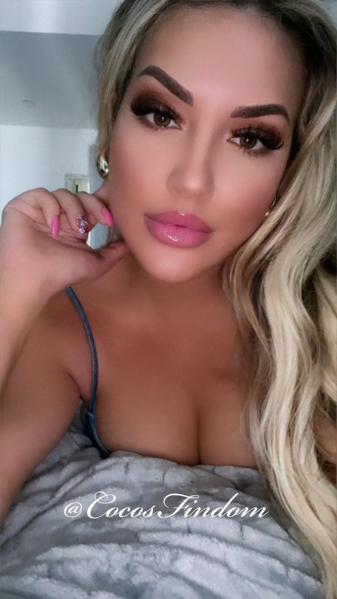 CuteforNatti's tweet photo. @CocosFindom is literally perfect. Every beta and โalphaโ should beg and plead to even have the opportunity to be a #Cocoist https://t.co/mnSeiBMkGN