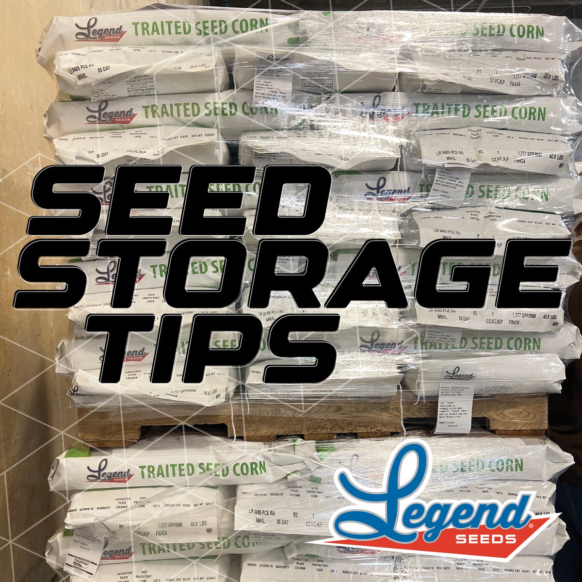 🌱 Don't let unwanted visitors eat into your profits! As your #LegendSeed product(s) is delivered, protect your investment with essential storage tips! Click to read 👉 bit.ly/tipsforseedsto…
Questions? Contact your trusted local Legend Seeds representative.
#AgTips #SeedStorage