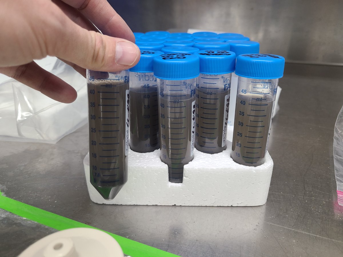 Scripps_Ocean's tweet photo. During a @calcofi marine ecosystem survey off the #SoCal coast, Scripps Oceanography &amp; @NOAAFisheries researchers encountered falling ash from the #LAWildfires and collected samples to study how the fires impact ocean ecosystems. 🌊 Dive in to learn more. https://t.co/wxhWT09NAz https://t.co/xEVG5FzNgA
