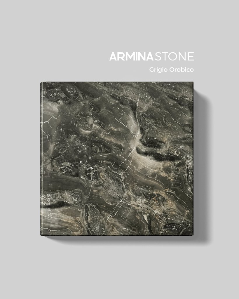 Armina Stone tweet media