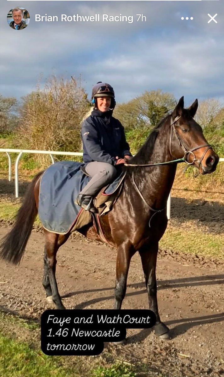 Julian Wild (@wild_julian) on Twitter photo Good luck to #BrianRothwellRacing <a href="/FMcmanoman/">Faye mcmanoman</a> tomorrow with #WathCourt in the 1.46 <a href="/NewcastleRaces/">Newcastle Racecourse</a> off a mark of 42. Under a year ago WC registered a RPR of 64 racing off a rating of 70. Repeat that & 66/1 might be worth a few bob🙂🏇👍 Good luck to #BrianRothwellRacing <a href="/FMcmanoman/">Faye mcmanoman</a> tomorrow with #WathCourt in the 1.46 <a href="/NewcastleRaces/">Newcastle Racecourse</a> off a mark of 42. Under a year ago WC registered a RPR of 64 racing off a rating of 70. Repeat that & 66/1 might be worth a few bob🙂🏇👍