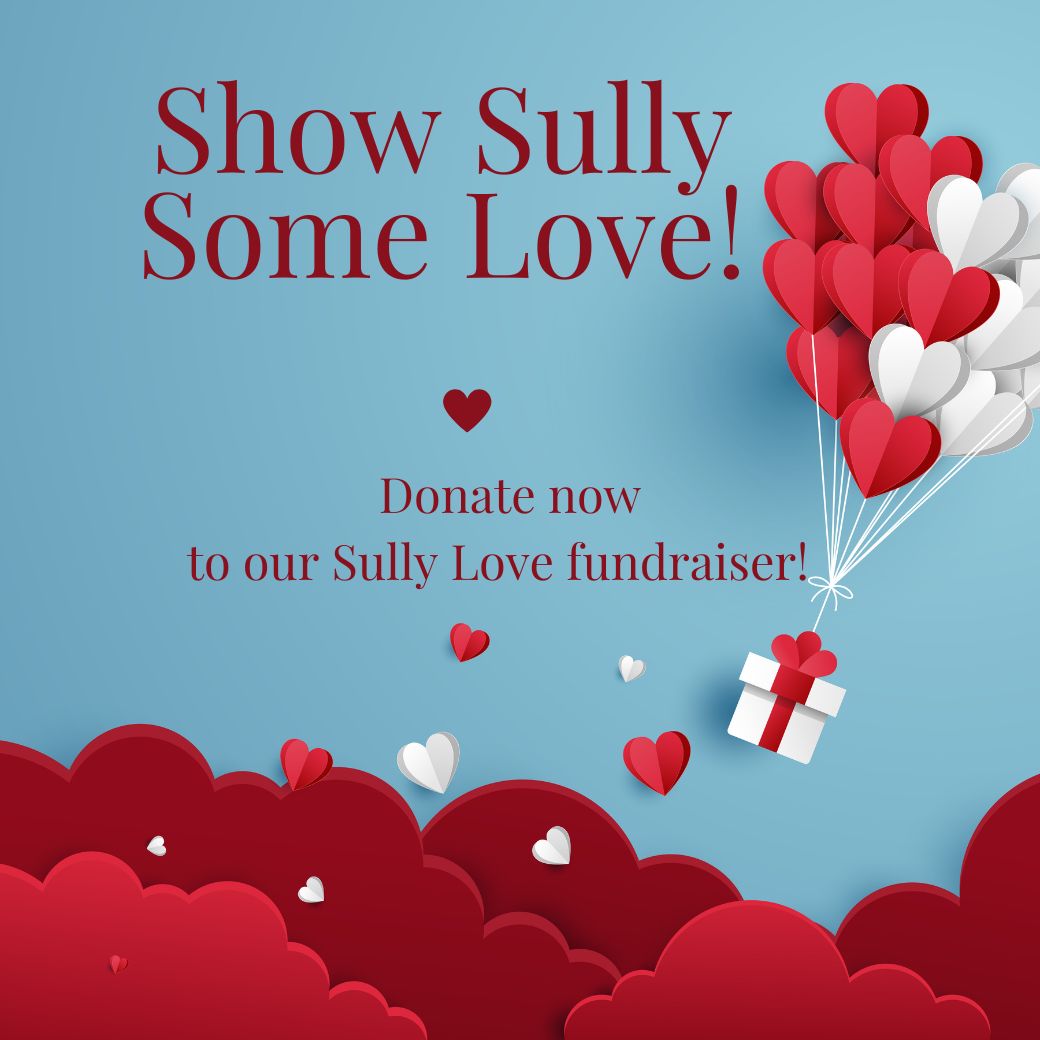 Sully Democrats tweet media