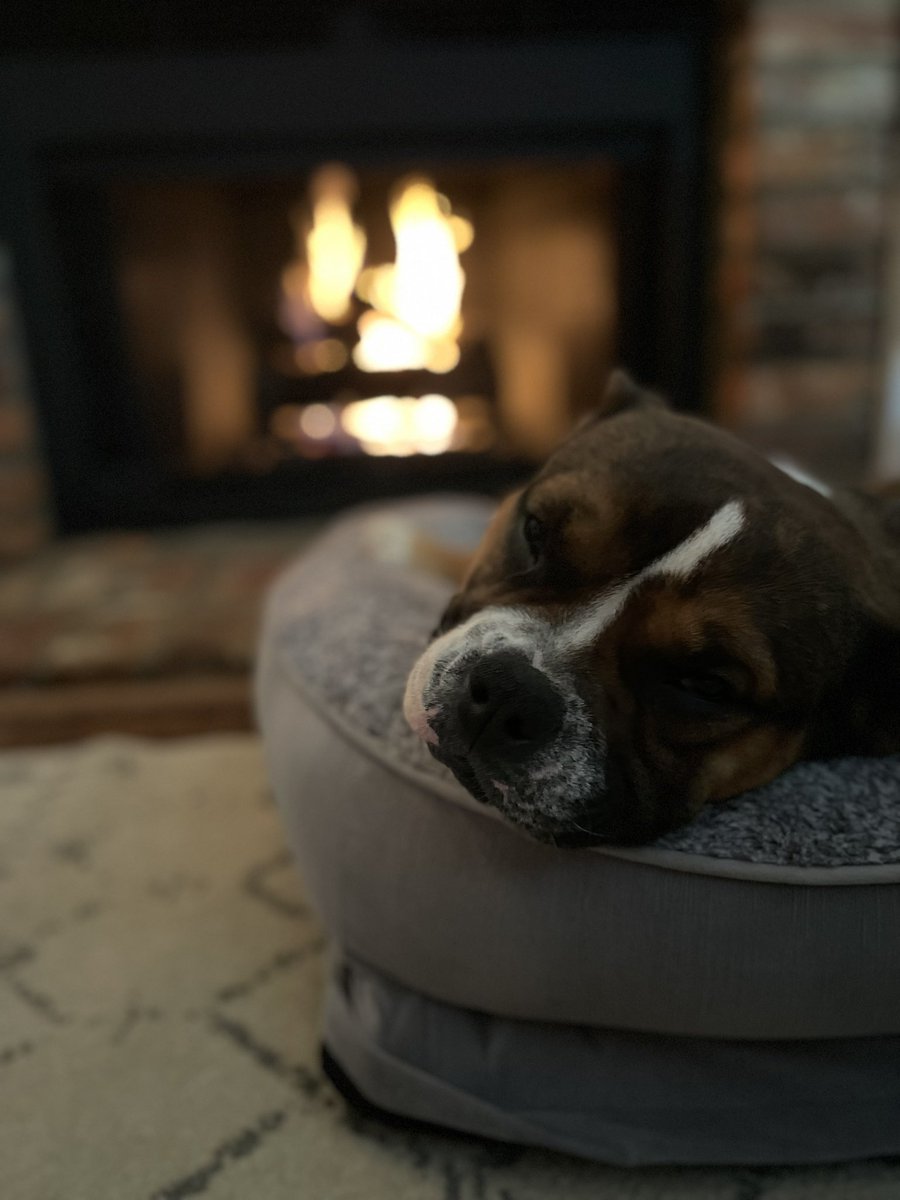 The benefits of mom working from home!