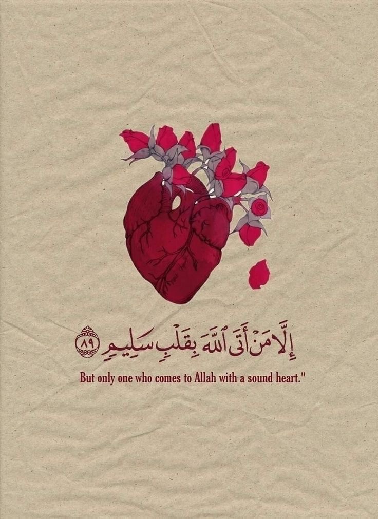 إِلَّا مَنْ أَتَى اللَّهَ بِقَلْبٍ سَلِيمٍ♥️..