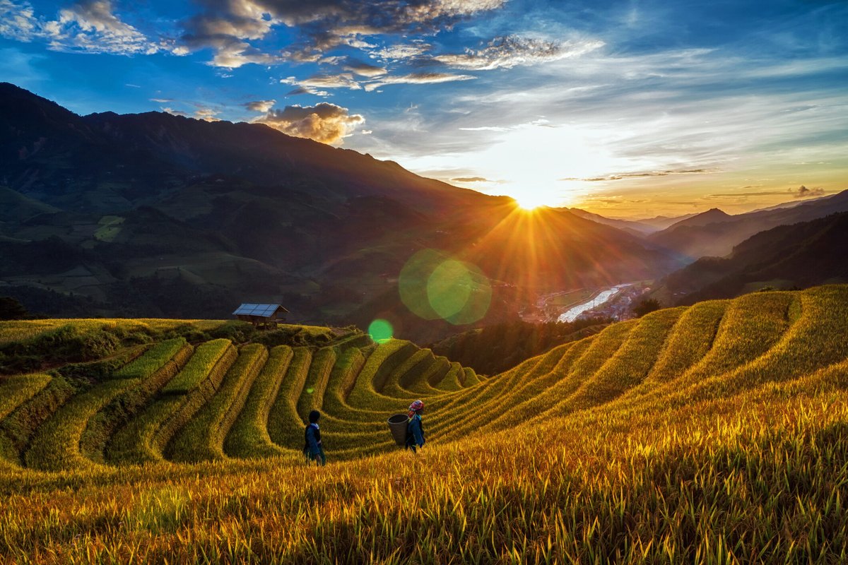 ASEAN is paving the way for resilient farming and climate solutions through sustainable practices in rice cultivation. Smarter #FoodSystems mean stronger farmers and a healthier planet. Read more via <a href="/wef/">World Economic Forum</a>: weforum.org/stories/2025/0… #SustainableAgriculture #ClimateAction <a href="/DrNarumonP/">Narumon Pinyosinwat</a>