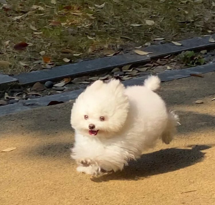 twaniimals's tweet photo. https://t.co/x6HzmNtFRo