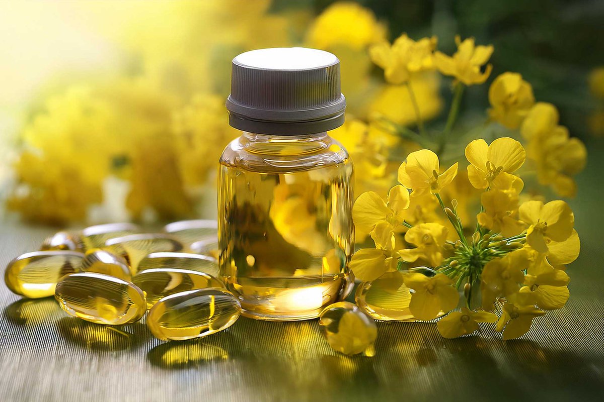 Nutriterra ended 2024 on a high note! Health Canada granted Nutriterra approval to be marketed and sold in Canada as a novel, canola-based total omega-3 oil. Read how our groundbreaking DHA will benefit Canadian vitamin consumers. bit.ly/3P5usaX