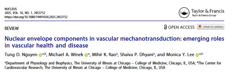 LeeLabUIC's tweet photo. Our latest review paper! #nucleus #vascular
https://t.co/jBGQBKIH8O https://t.co/Z6UDSpoSen