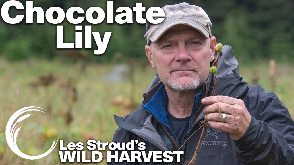 In case you've missed them - new WILD HARVEST episodes up on Youtube: (copy and paste): youtube.com/@SurvivormanLe… More to come each Friday!!!