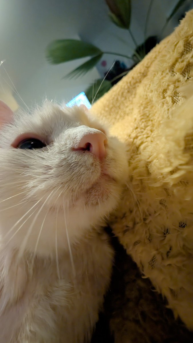 Danny Arends (@dannyarends) on Twitter photo 