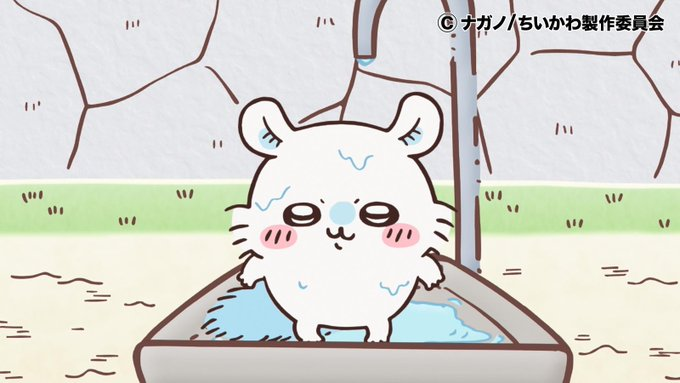 @RaccoonField 