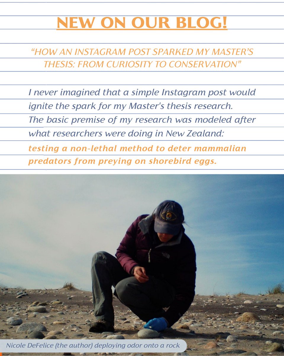 Association of Field Ornithologists tweet media