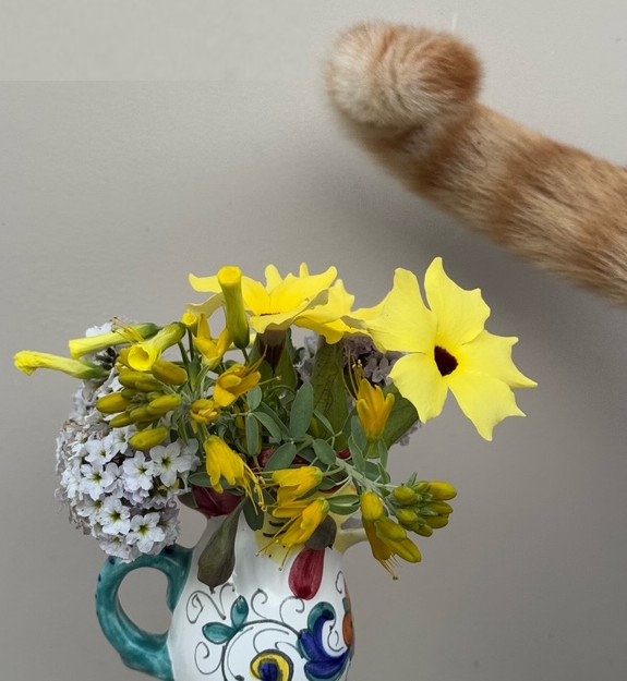 Spookyladyyy tweet media