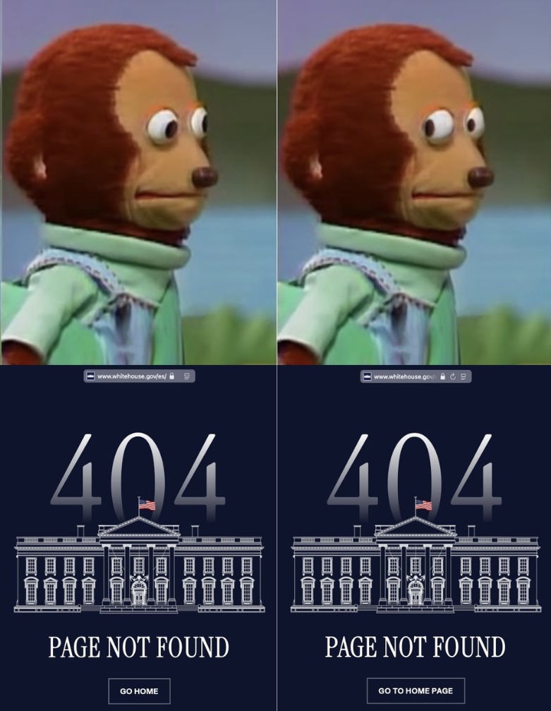 GOHOME TOKEN tweet media