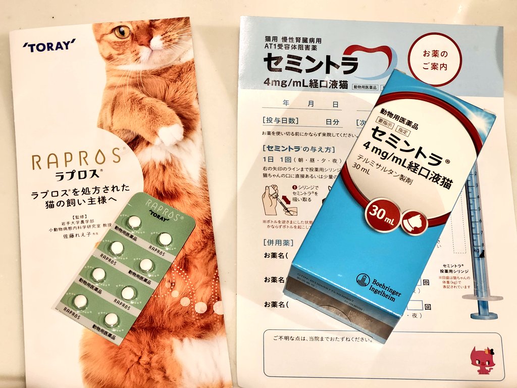 dgn_chartreux's tweet photo. 徐々に痩せてきてたカルビくん、ちょっと急に体重落ちたので病院行ったら…

腎臓の値が悪く、おそらくそのせいで造血ホルモンの出が悪く貧血気味。

ホルモン注射と投薬開始、腎臓レントゲンも撮ってサヨウナラ渋沢3人…🤤

まぁでもこれで元気になるなら安いもんよ😭 https://t.co/1z6pz0Ffkt