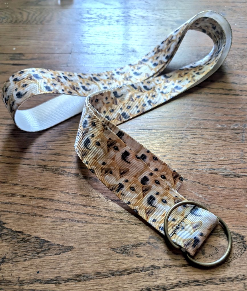 GoDogeArmy's tweet photo. Đoge Belt 😏 https://t.co/ImNBv3USH3