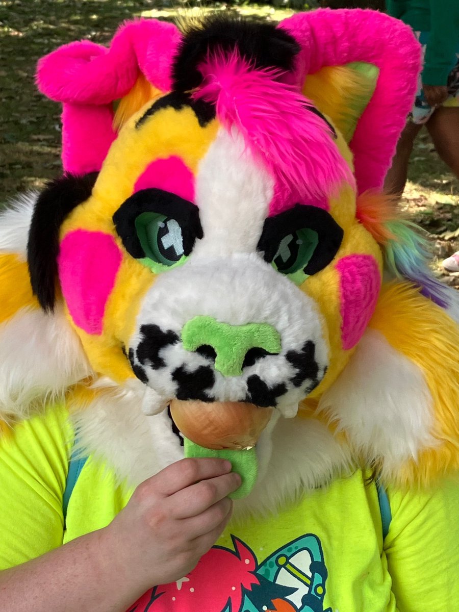Larkspur1678's tweet photo. Figured it was time for a new pinned!  I’m an ER vet assistant, fursuiter and furry artist from WI.  My special interests include Warriors, Kingdom Hearts, Digimon, birds and horror movies.

Other places to find me: https://t.co/SQAX5nIEel https://t.co/GX2IoZBe5n